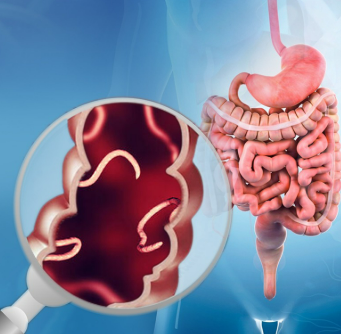 Desparasitação Natural